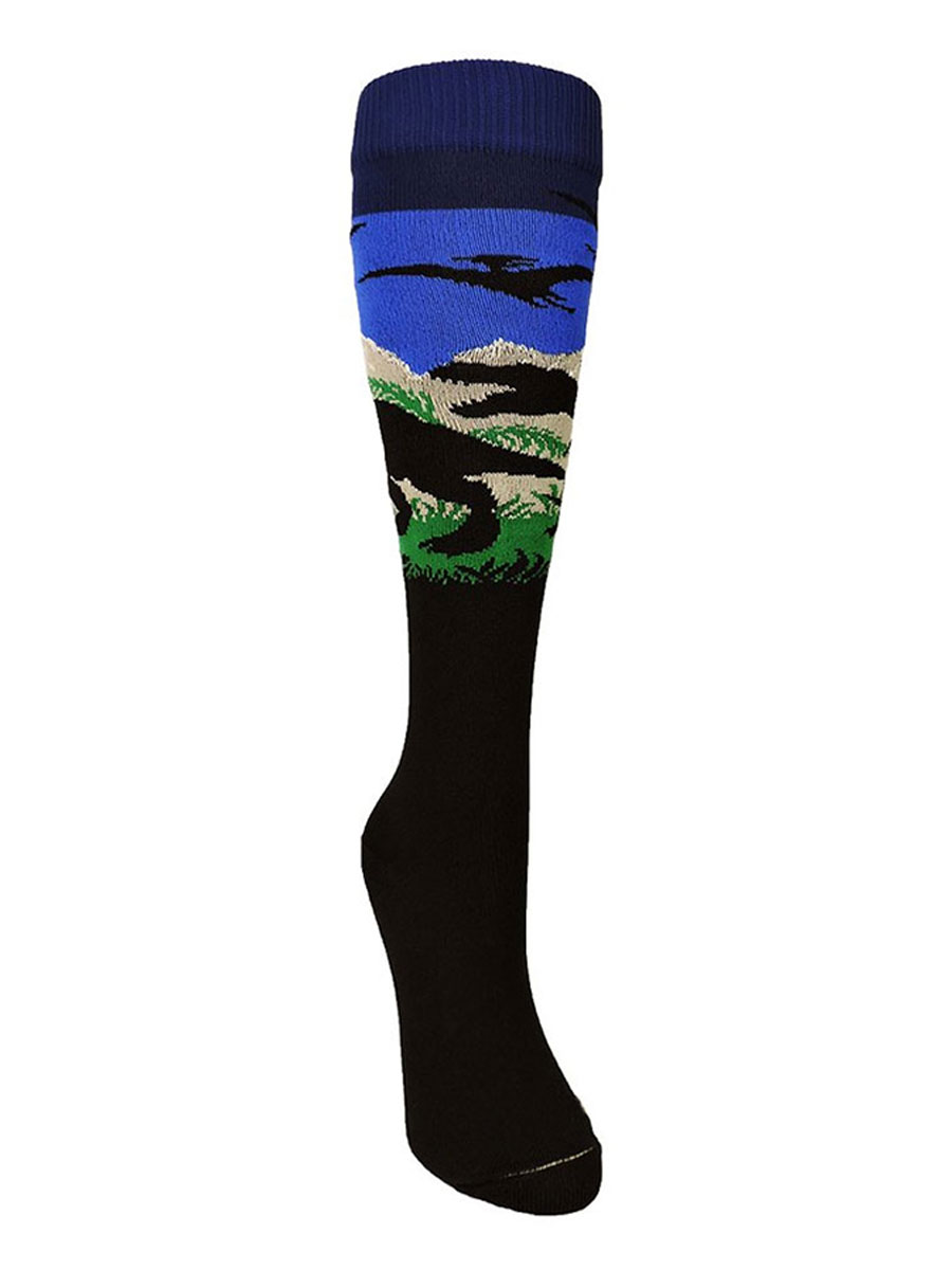 Baseball Socks